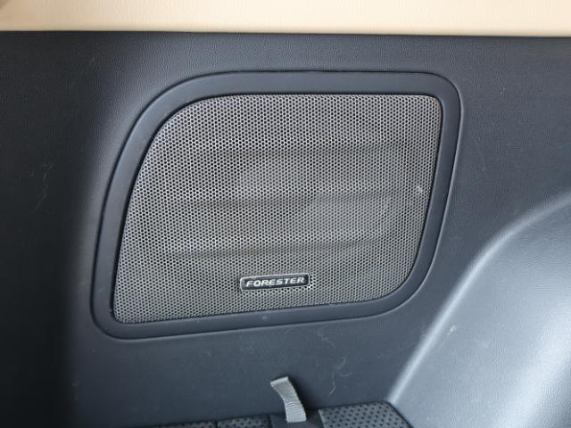 フォレスター（新潟県新潟市中央区）