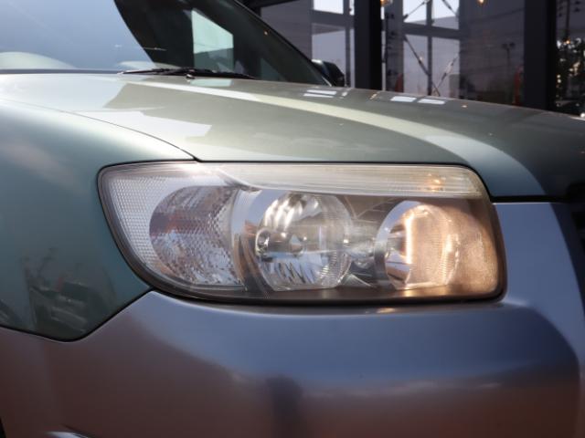 フォレスター（新潟県新潟市中央区）