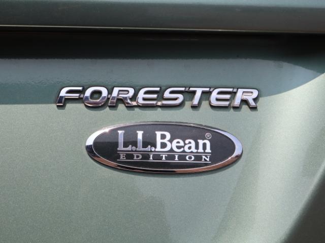 フォレスター（新潟県新潟市中央区）