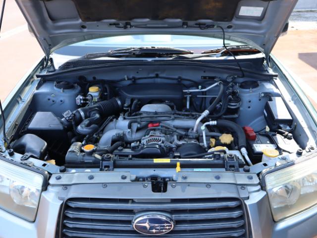 フォレスター（新潟県新潟市中央区）