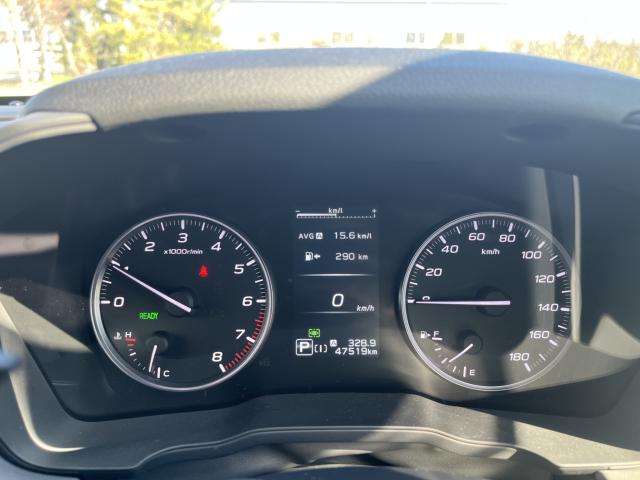 クロストレック（新潟県新潟市西蒲区）