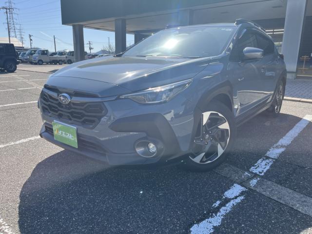 クロストレック（新潟県新潟市西蒲区）