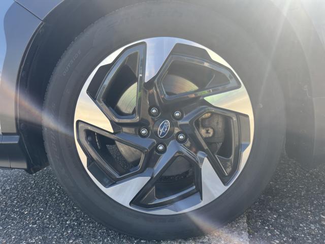 クロストレック（新潟県新潟市西蒲区）