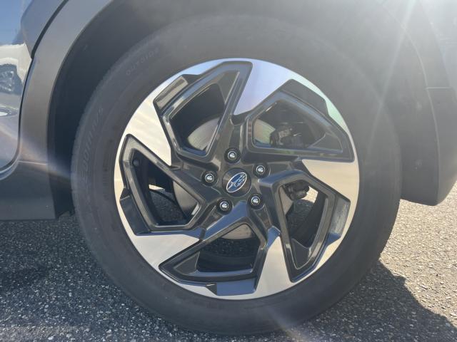 クロストレック（新潟県新潟市西蒲区）