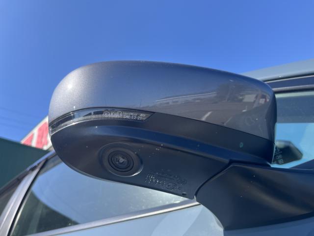 クロストレック（新潟県新潟市西蒲区）