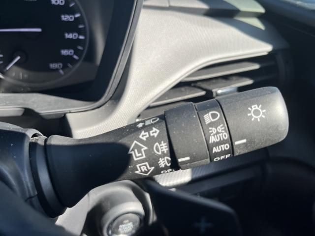 クロストレック（新潟県新潟市西蒲区）