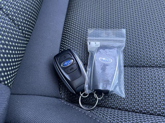 クロストレック（新潟県新潟市西蒲区）