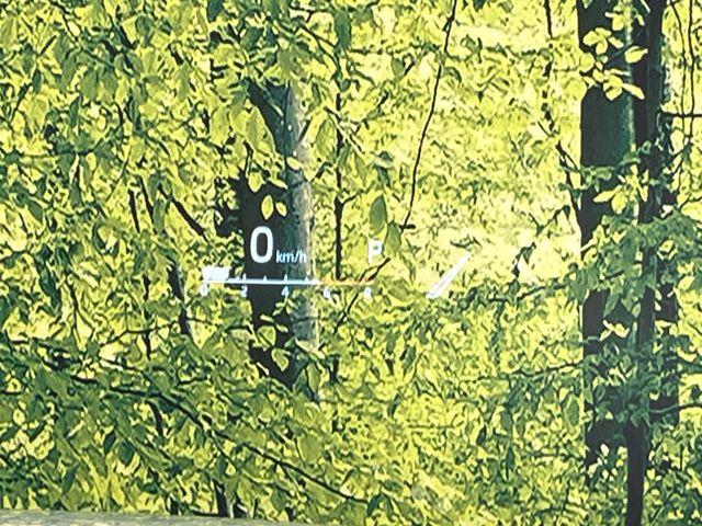 ハリアーハイブリッド（新潟県新潟市東区）画像38