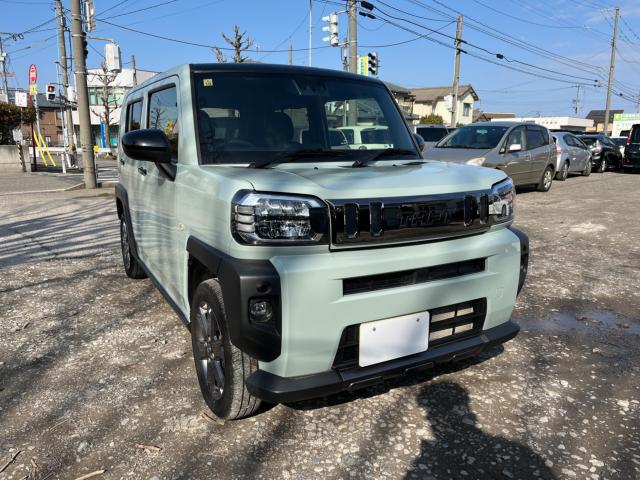 タフト（新潟県新潟市西区）画像11