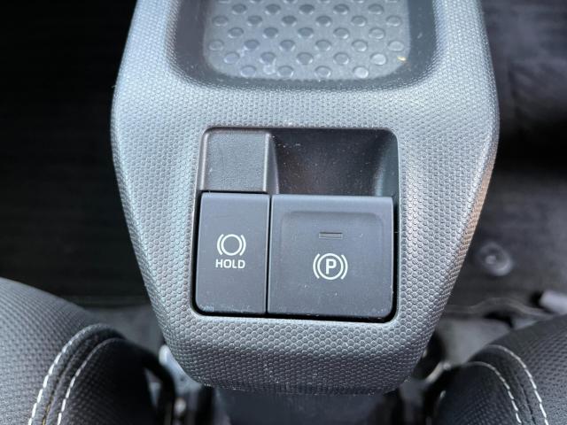 タフト（新潟県新潟市西区）画像33