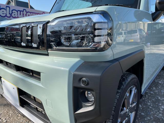 タフト（新潟県新潟市西区）画像53