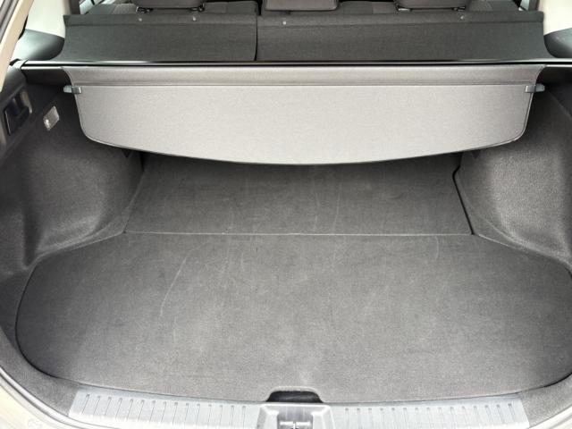 カローラフィールダー（新潟県上越市）画像23