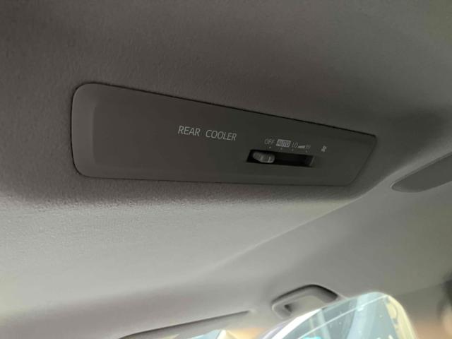 ヴォクシー（新潟県新潟市中央区）画像39