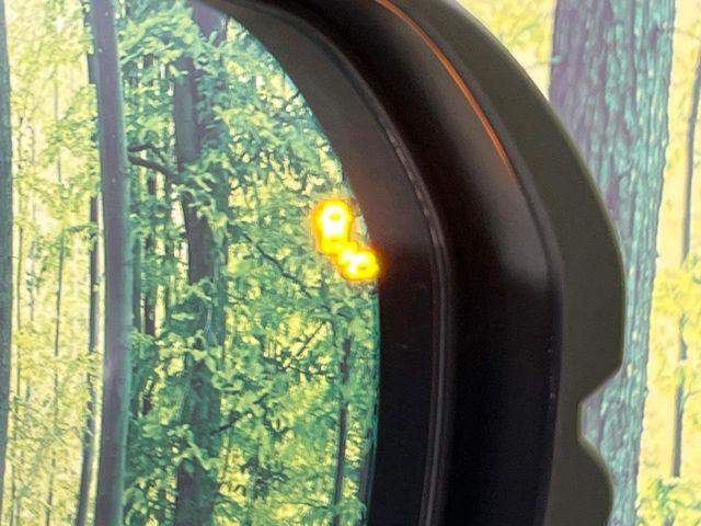 ステップワゴン（新潟県新潟市南区）