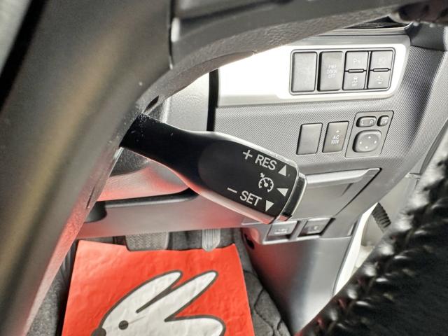 エスティマハイブリッド（新潟県長岡市）