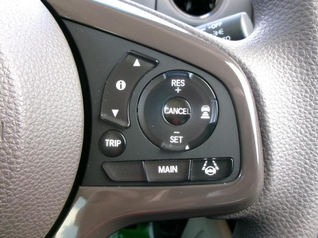 N_BOX(新潟県新潟市秋葉区)