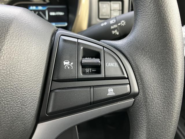 ハスラー(新潟県新潟市西蒲区)