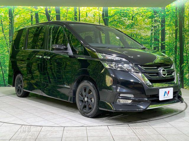 セレナ(新潟県長岡市)