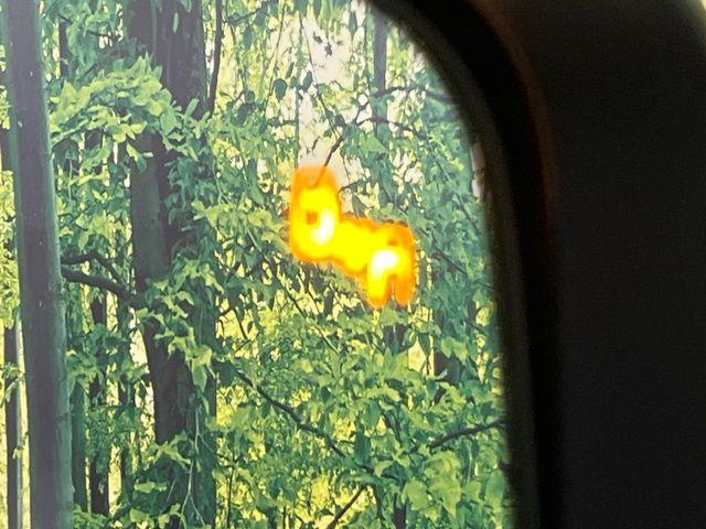 デリカＤ：５（新潟県新潟市南区）画像6