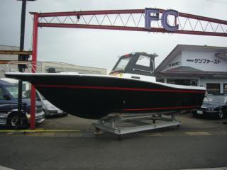 アメリカ その他