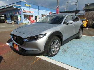 CX-30