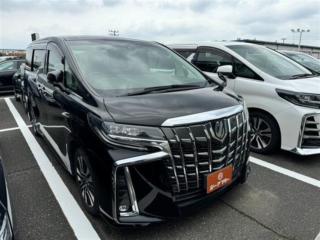 アルファード 2.5 S Cパッケージ 純正10型ナビ地デジ後席モニター両側電動