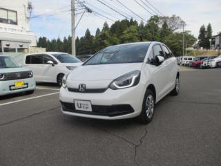 フィット ホーム 4WD