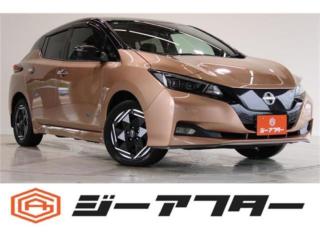 リーフ e+ X 令和4/6以降モデル プロパイロット 純正9型ナビ 地デジ 全周囲カメラ シートヒーター ステアリングヒーター LEDヘッドライト フロントフォグ ETC2.0 デジタルインナーミラー HD