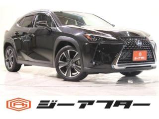 レクサスUX 250h バージョンL 4WD マークレビンソン 純正10．3型ナビ フルセグTV 全周囲カメラ 温冷黒革シート ブラインドスポットモニター 3眼LEDヘッドライト ヘッドライトクリーナー ステアリン