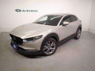 ＣＸ－３０ 20S