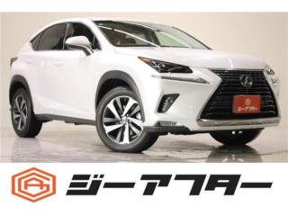 レクサスＮＸ 300 Iパッケージ 4WD 禁煙車 純正10．3インチナビ フルセグTV 全周囲カメラ オプション18AW 電動リアゲート 前席シートヒーター ブラインドスポットモニター 角型三眼LEDヘッドライト