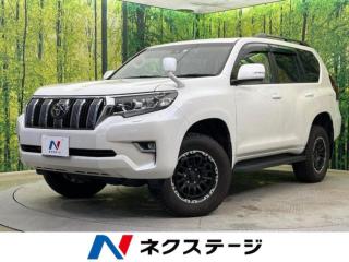 ランドクルーザープラド TX 4WD サンルーフ BIG-X9型ナビ