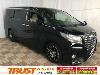 ヴェルファイア X フリップダウンモニター Bカメラ LEDヘッド