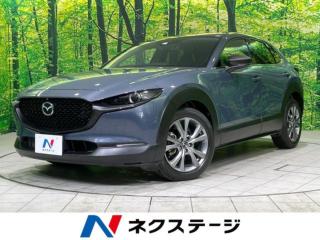 ＣＸ－３０