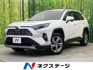 RAV4 ハイブリッドG 4WD 純正9型ナビ バックカメラ