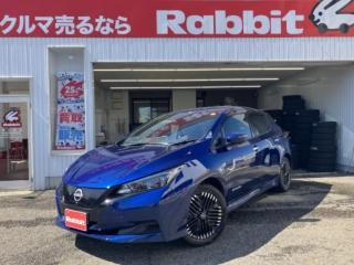 リーフ X Vセレクション 後期型 プロパイロット