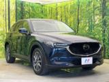 CX-5（新潟県新潟市南区）画像16