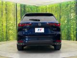 CX-60(新潟県新潟市南区)画像15
