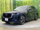 CX-60(新潟県新潟市南区)画像27