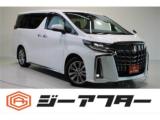 アルファード 2．5 S タイプゴールド 純正9型ナビBカメラ後席モニタ両側電動ETC