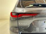 CX-60(新潟県新潟市東区)画像20