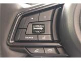 WRX_S4(新潟県新潟市東区)画像51