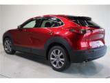 CX-30(新潟県新潟市東区)画像13