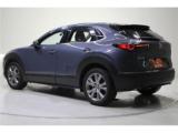 CX-30(新潟県新潟市東区)画像6