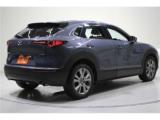 CX-30(新潟県新潟市東区)画像8