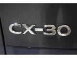 CX-30(新潟県新潟市東区)画像70