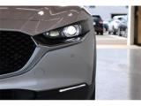 CX-30(新潟県新潟市東区)画像15