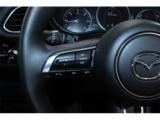 CX-30(新潟県新潟市東区)画像51