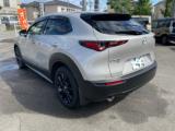 ＣＸ－３０（新潟県新潟市南区）画像6
