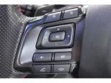 WRX_S4(新潟県新潟市東区)画像46